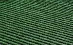 SMART SUPREME 30 - Image 2