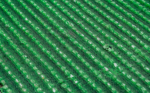 ECO GRASS HD 20 BLANCO - Image 2