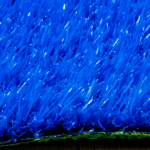 ECO GRASS HD 20 AZUL