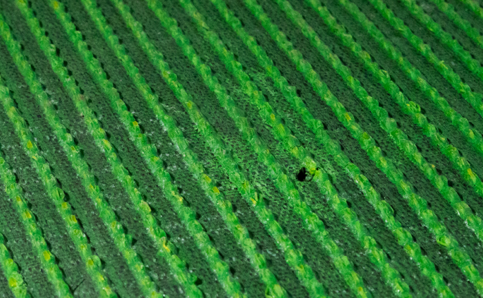 ECO GRASS HD 20 AMARILLO - Image 2