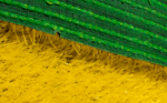 ECO GRASS HD 20 AMARILLO - Image 5