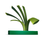 Fibra Ovalada