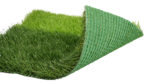 Euro Stem 3/8 - Image 4