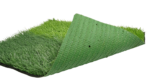 Perú stem plus xs - Image 4